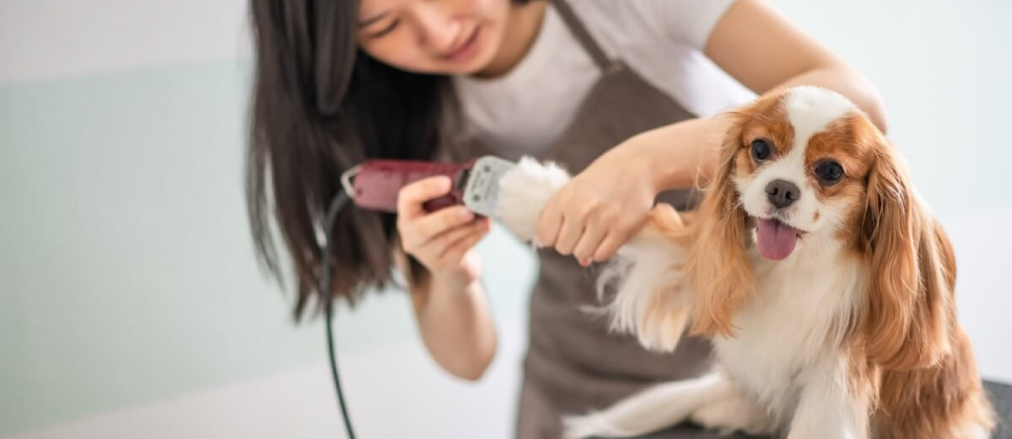 Pet Grooming